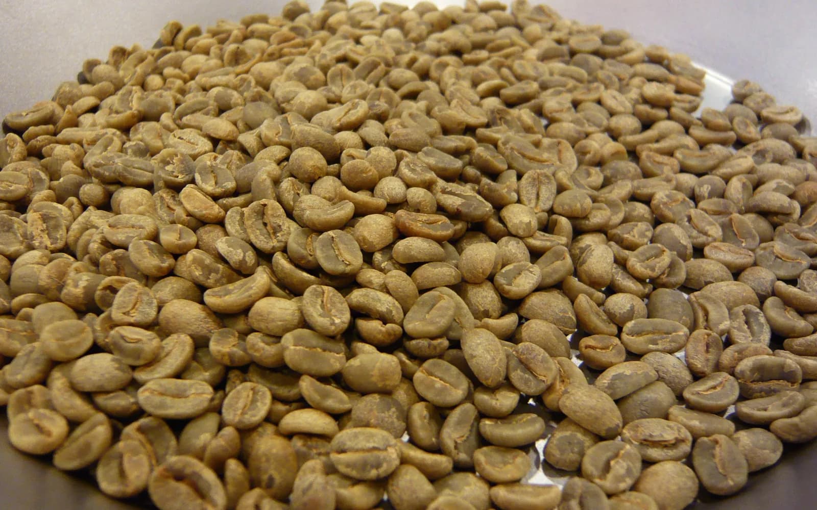 Boabe de cafea verde, neprăjite